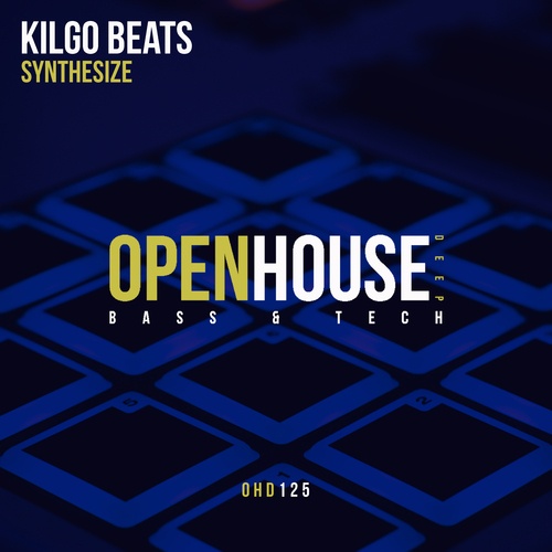 Kilgo Beats-Synthesize