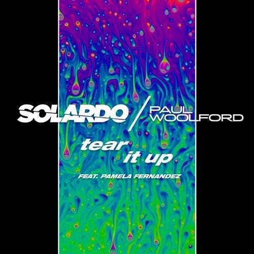 Solardo X Paul Woolford Ft. Pamela Fernandez-Tear It Up