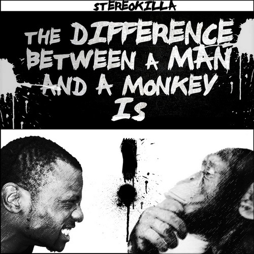 Stereokilla-The Difference Between A Man And A Monkey Is!