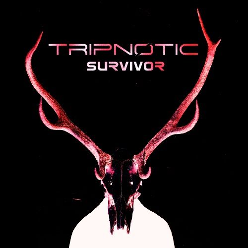 Tripnotic-The Struggle