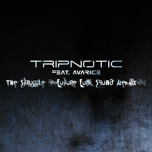 Tripnotic Feat. Avarice, Future Funk Squad-The Struggle