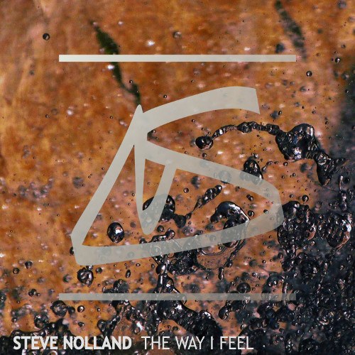 Steve Nolland-The Way I Feel