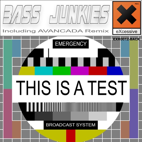 Bass Junkies-This Is A Test