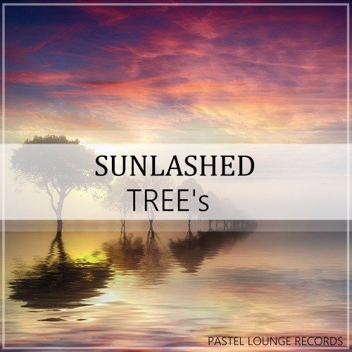 Sunlashed-Tree's