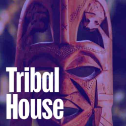 Tribal House - Music Worx