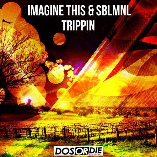 Imagine This & Sblmnl-Trippin