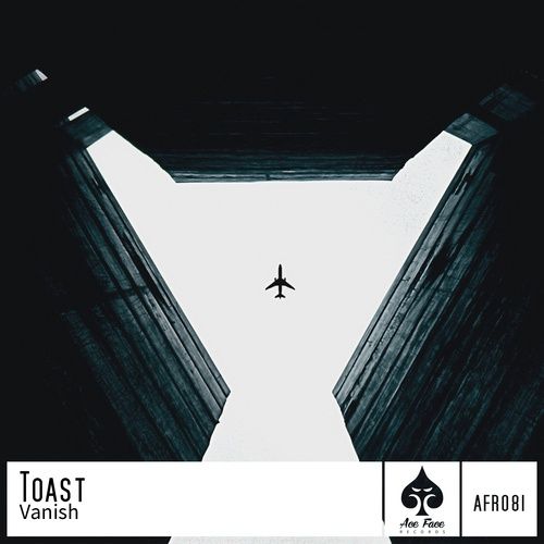 Toast-Vanish (original Mix)