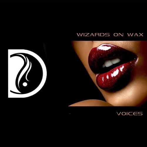 Wizards On Wax-Voices