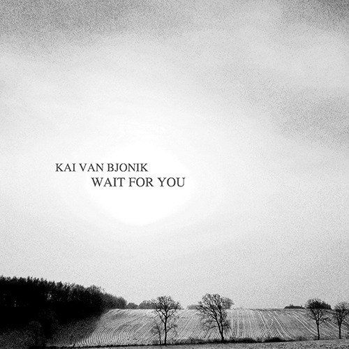 Kai Van Bjonik-Wait For You