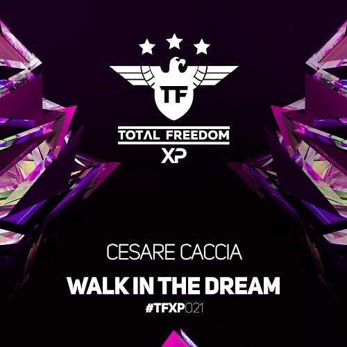 Cesare Caccia-Walk In The Dream