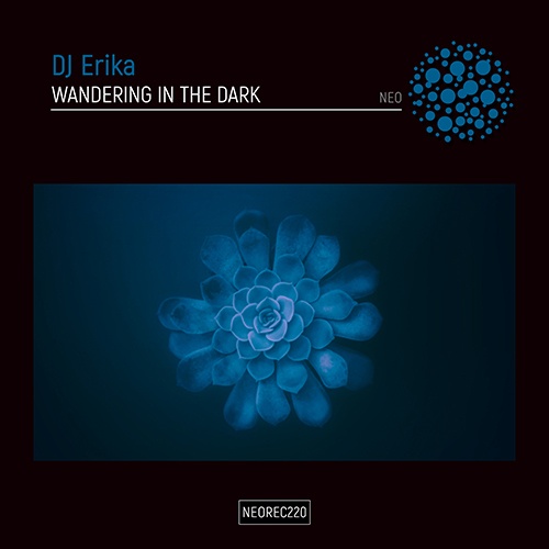 Dj Erika-Wandering In The Dark