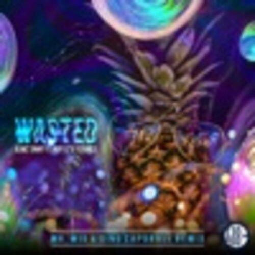 Wasted (the Remixes)