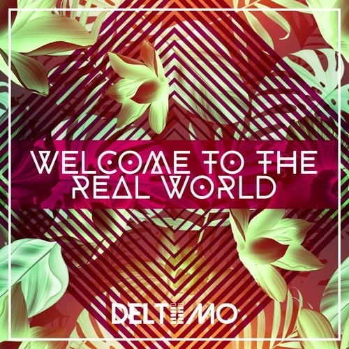 Deltiimo-Welcome To The Real World
