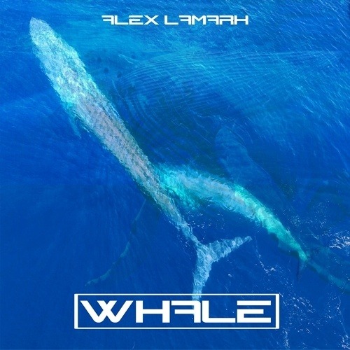 Alex Lamark-Whale
