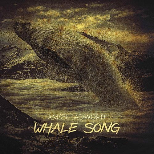 Whale Song