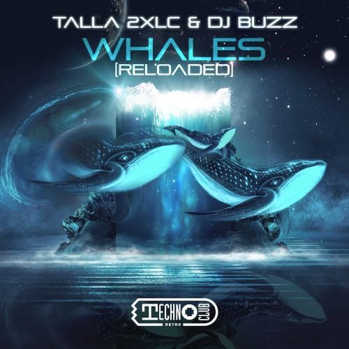 DJ Buzz, Talla 2xlc-Whales (reloaded)