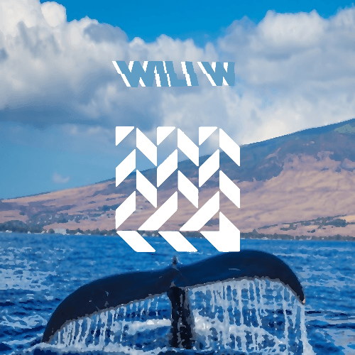 Wili W-Whales Of The Ocean