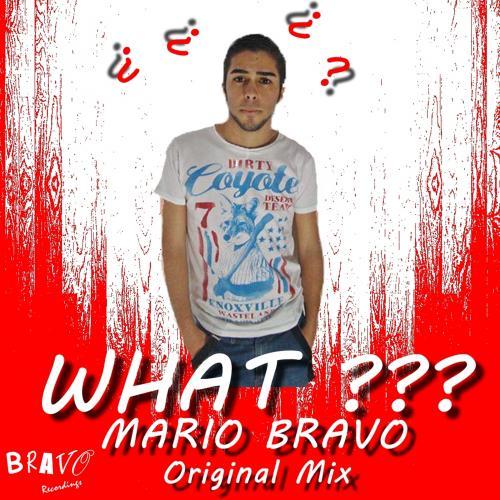 Mario Bravo-What ?? (original Mix)