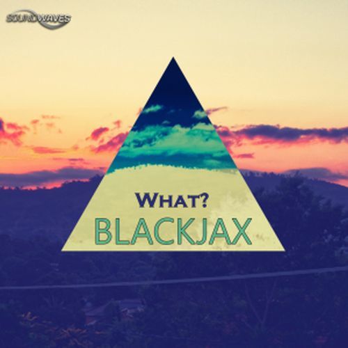 Blackjax-What