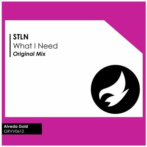 Stln-What I Need