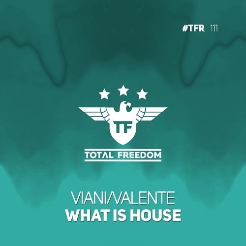 Viani/valente-What Is House