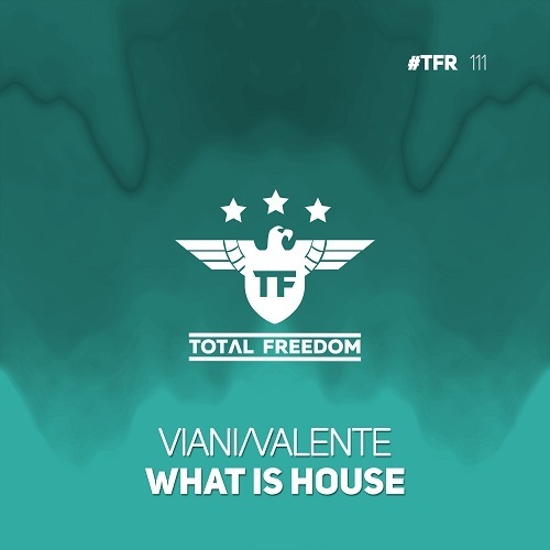 Viani/valente-What Is House