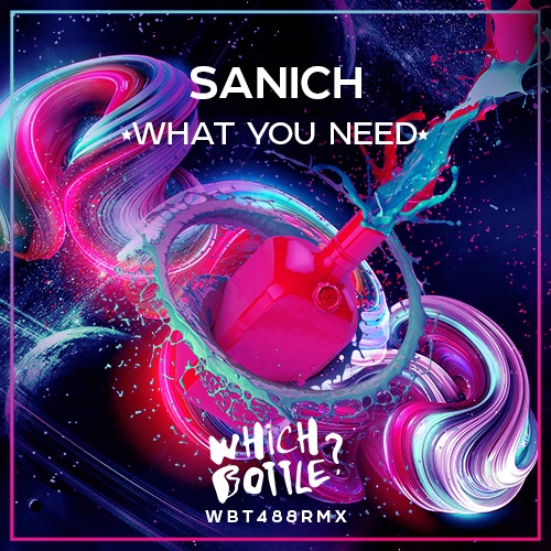 Sanich-What You Need