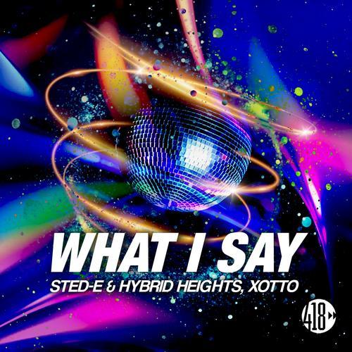 Sted-e And Hybrid Heights -What I Say