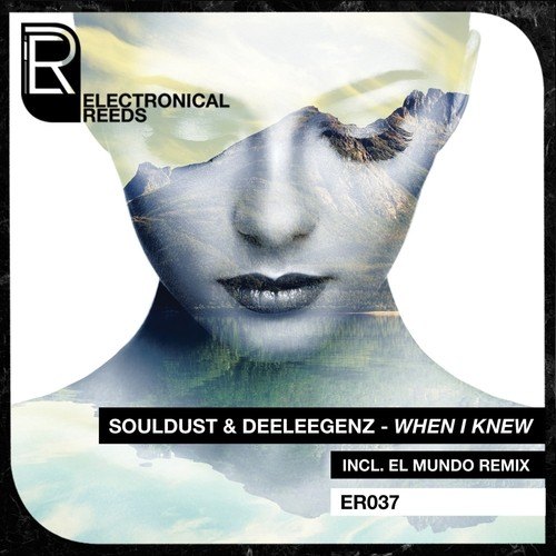 Souldust & Deeleegenz-When I Knew