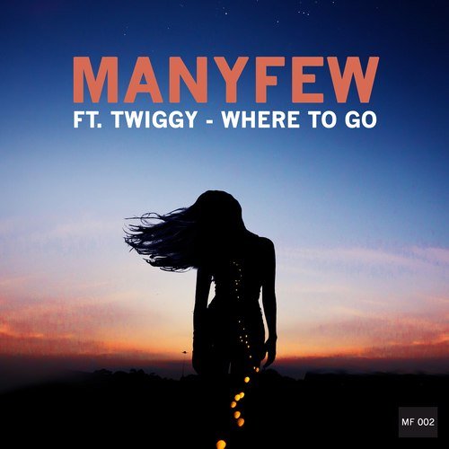 Manyfew Ft. Twiggy-Where To Go