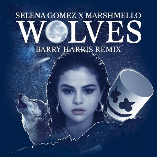 Selena Gomez X Marshmello, Barry Harris -Wolves