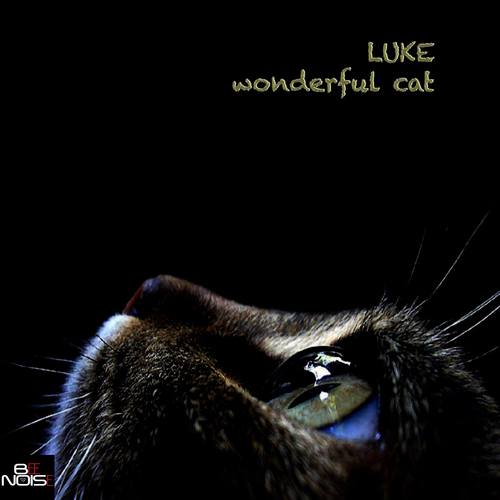 Luke-Wonderful Cat