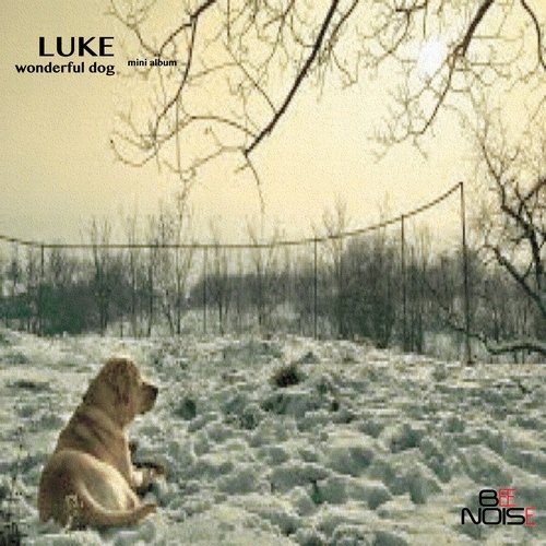 Luke-Wonderful Dog