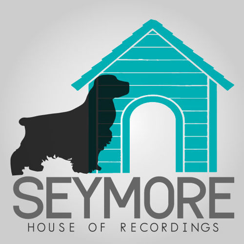 Seymore-You Better Work