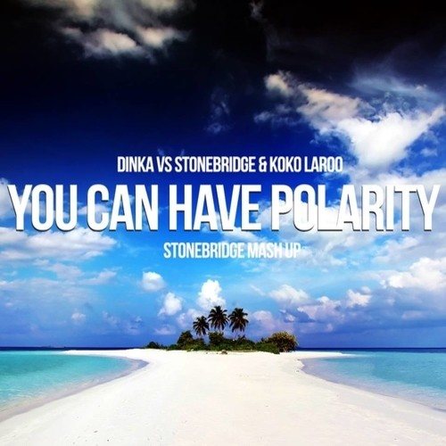 Dinka Vs Stonebridge & Koko Laroo, StoneBridge -You Can Have Polarity