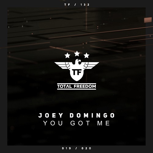 Joey Domingo-You Got Me