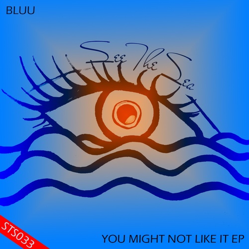 Bluu-You Might Not Like It Ep