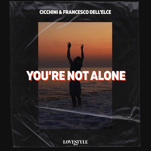 Cicchini, Francesco Dell'Elce-You're Not Alone