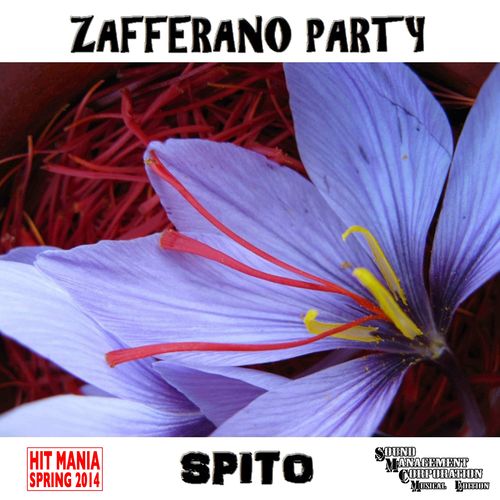 Spito-Zafferano Party