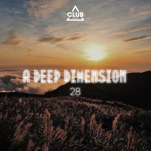 Various Artists-A Deep Dimension, Vol. 28