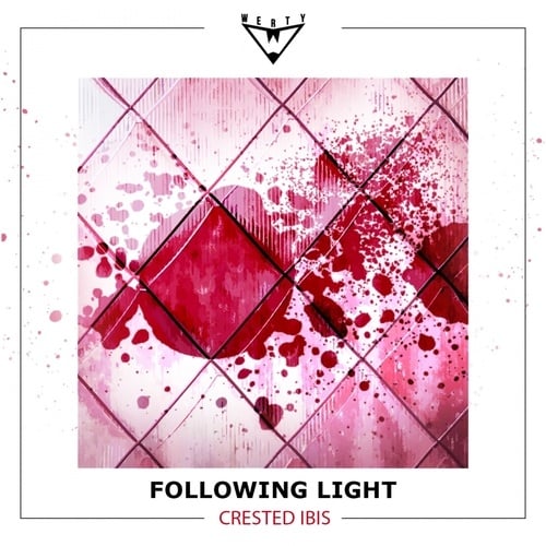 Following Light-A Deep Soul / Crested Ibis