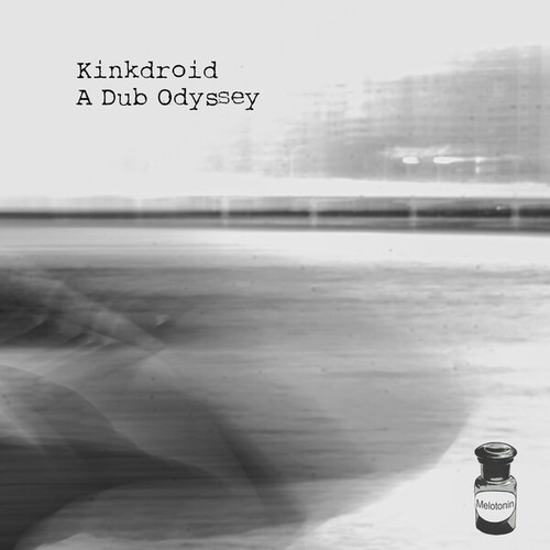 Kindroid-A Dub Odyssey