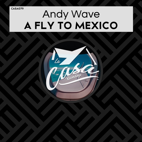 Andy Wave-A Fly to Mexico