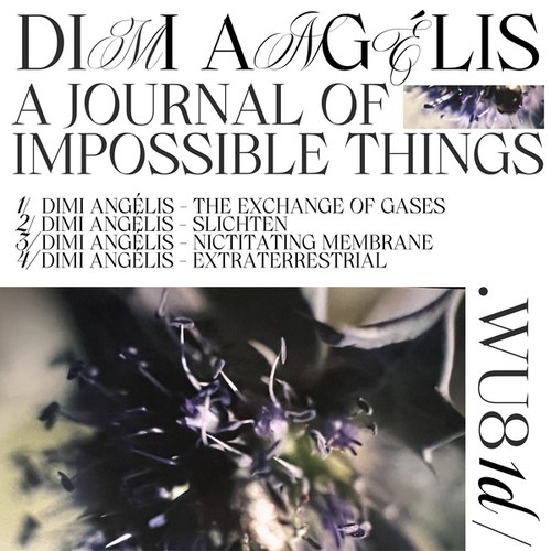 Dimi Angelis-A Journal of Impossible Things