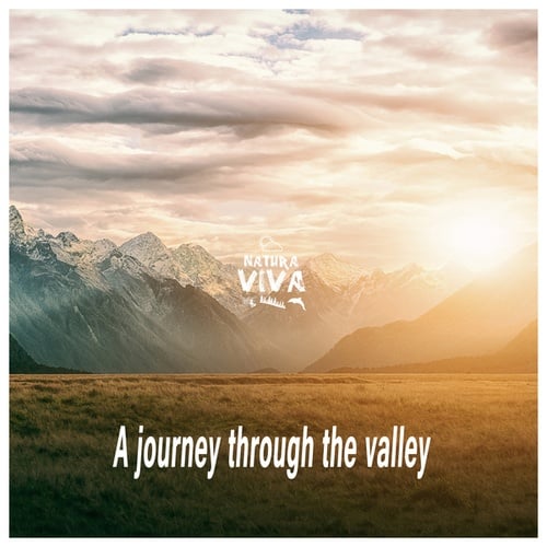 Various Artists-A Journey Through the Valley