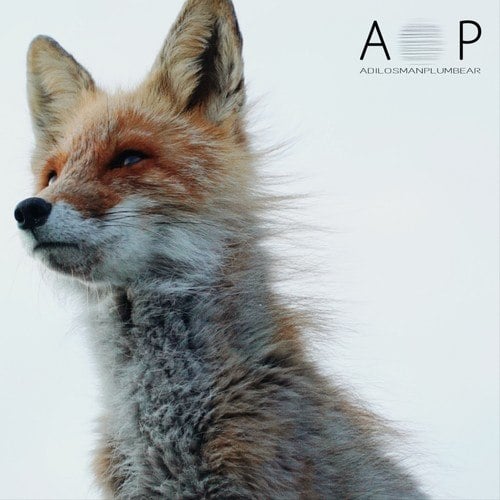 A.P (Deluxe)