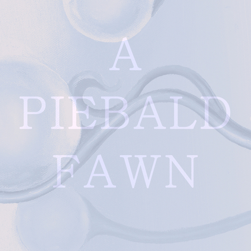 A Piebald Fawn