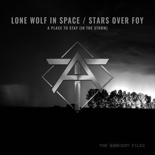 Lone Wolf In Space, Stars Over Foy-A Place to Stay
