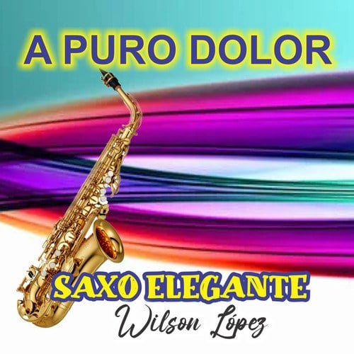 A PURO DOLOR éxito instrumental - Cover