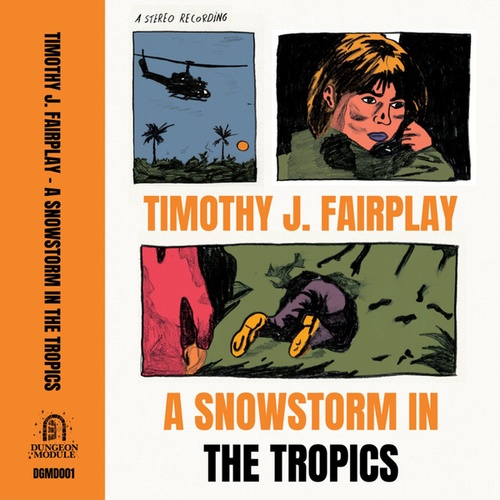 Timothy J. Fairplay-A Snowstorm In The Tropics